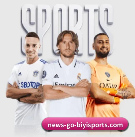 必一体育 APP - BSports