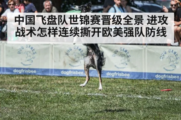 中国飞盘队世锦赛晋级全景 进攻战术怎样连续撕开欧美强队防线