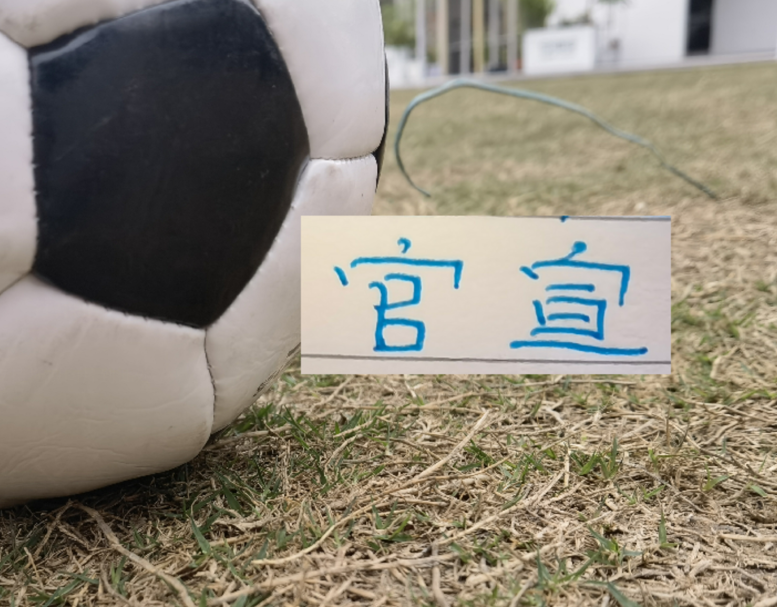 BSports-申花又官宣2人离队！今年离开阵容够组队开踢了！